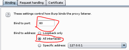 Bind BurpSuite to port 80